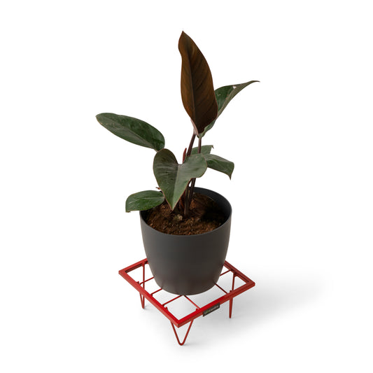 Square Plant Stand-Red