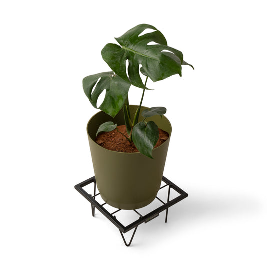 Square Plant Stand-Black