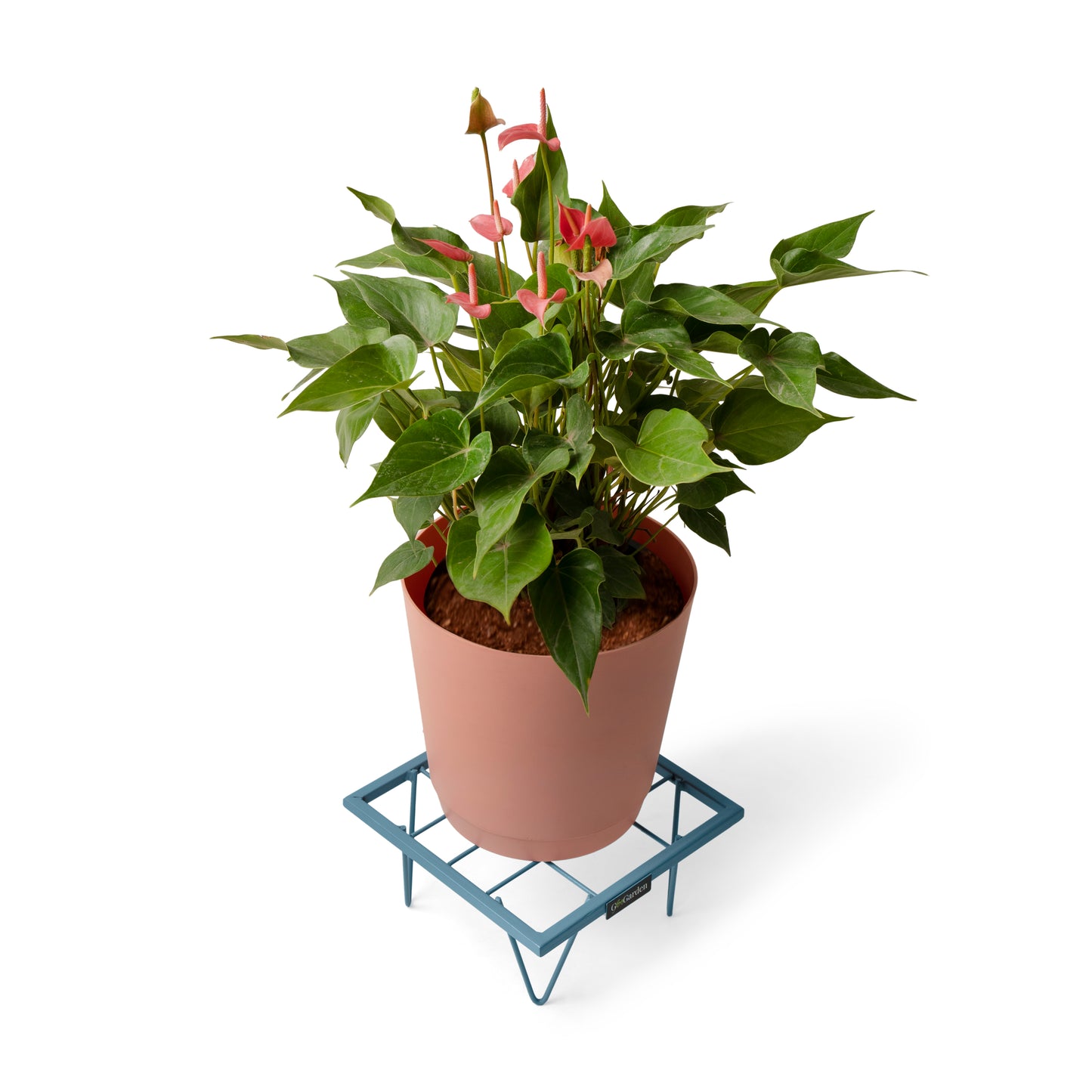 Square Plant Stand-Blue