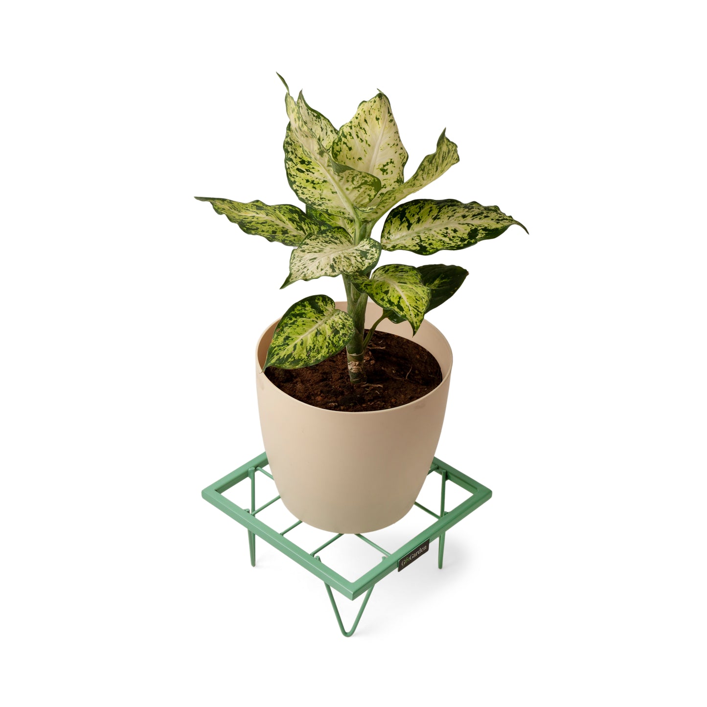 Square Plant Stand-Green