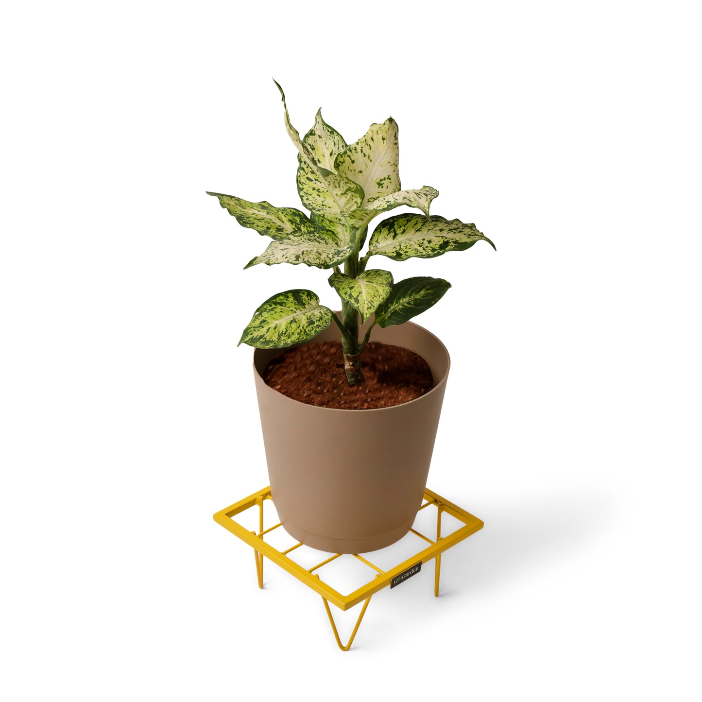 Square Plant Stand-Yellow