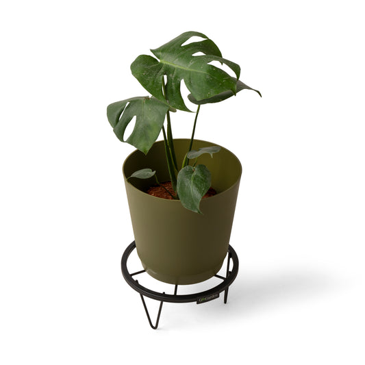 Round Plant Stand-Black