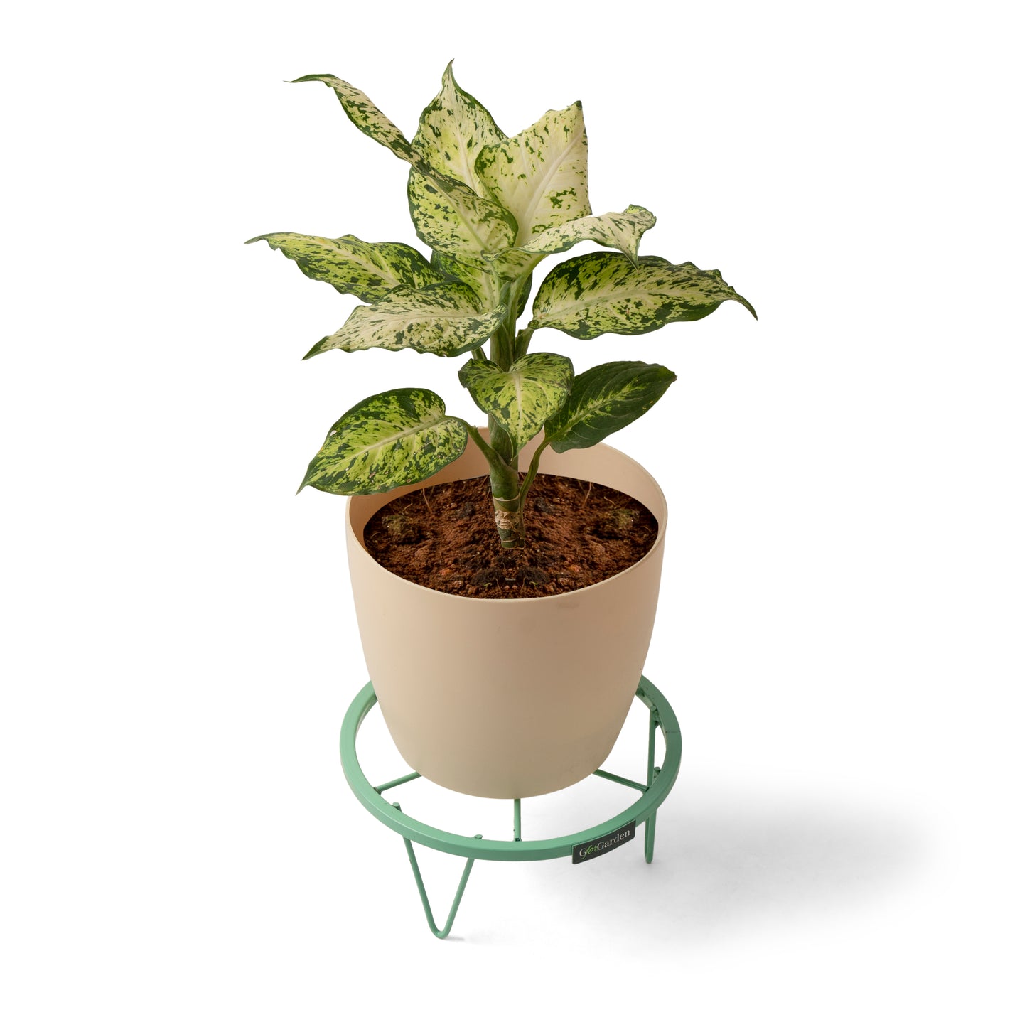 Round Plant Stand-Green