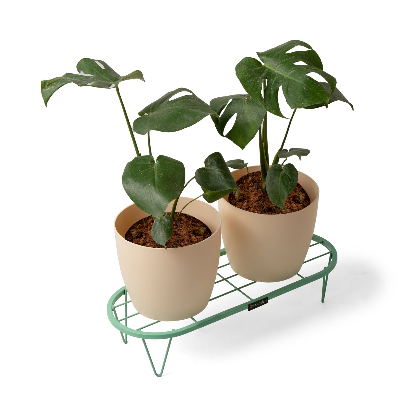 Stadium Plant Stand-Green