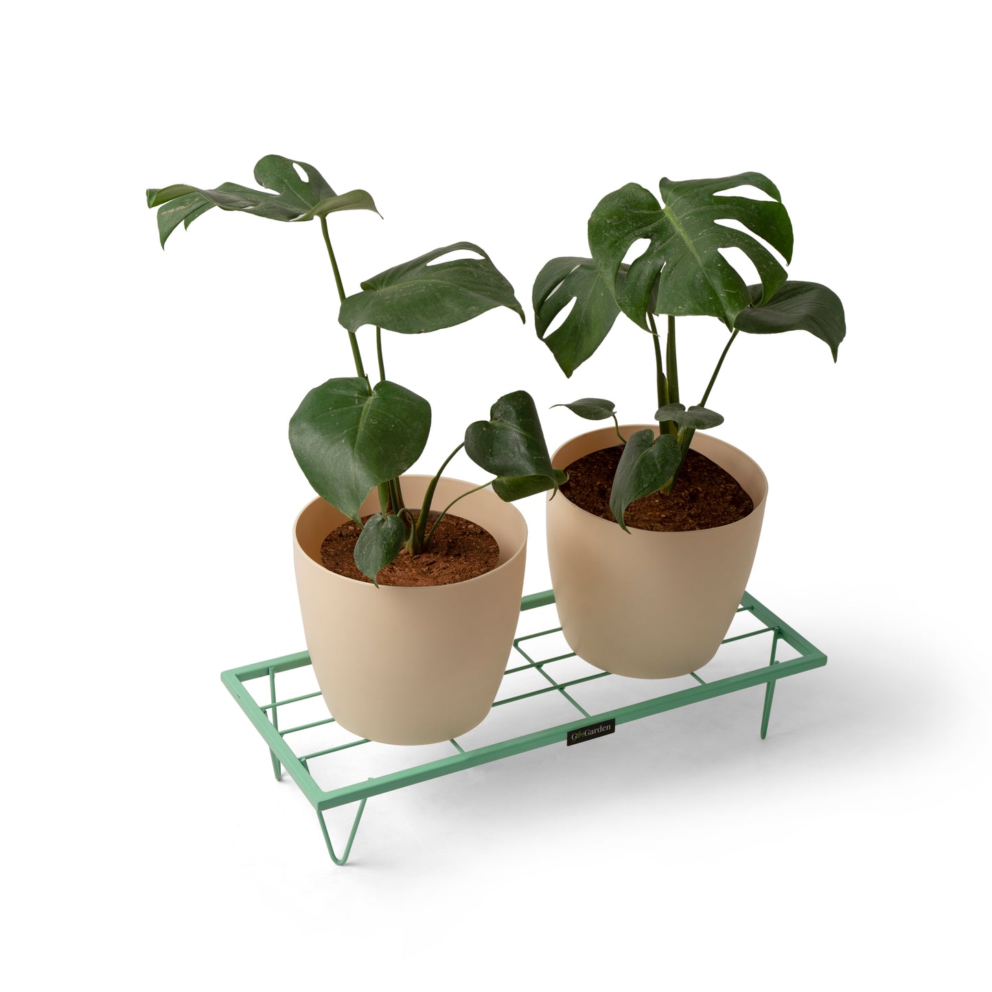 Rectangle Plant Stand-Green