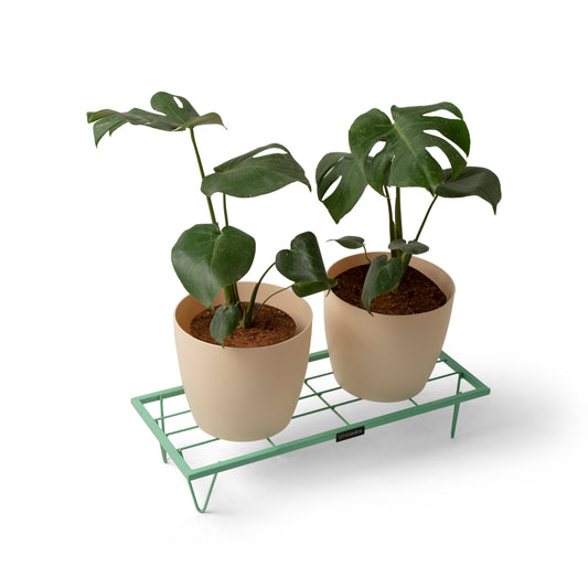 Rectangle Plant Stand-Green