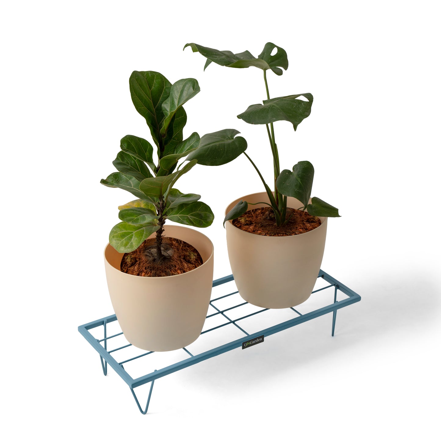 Rectangle Plant Stand-Blue