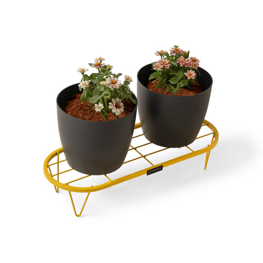 Stadium Plant Stand-Yellow