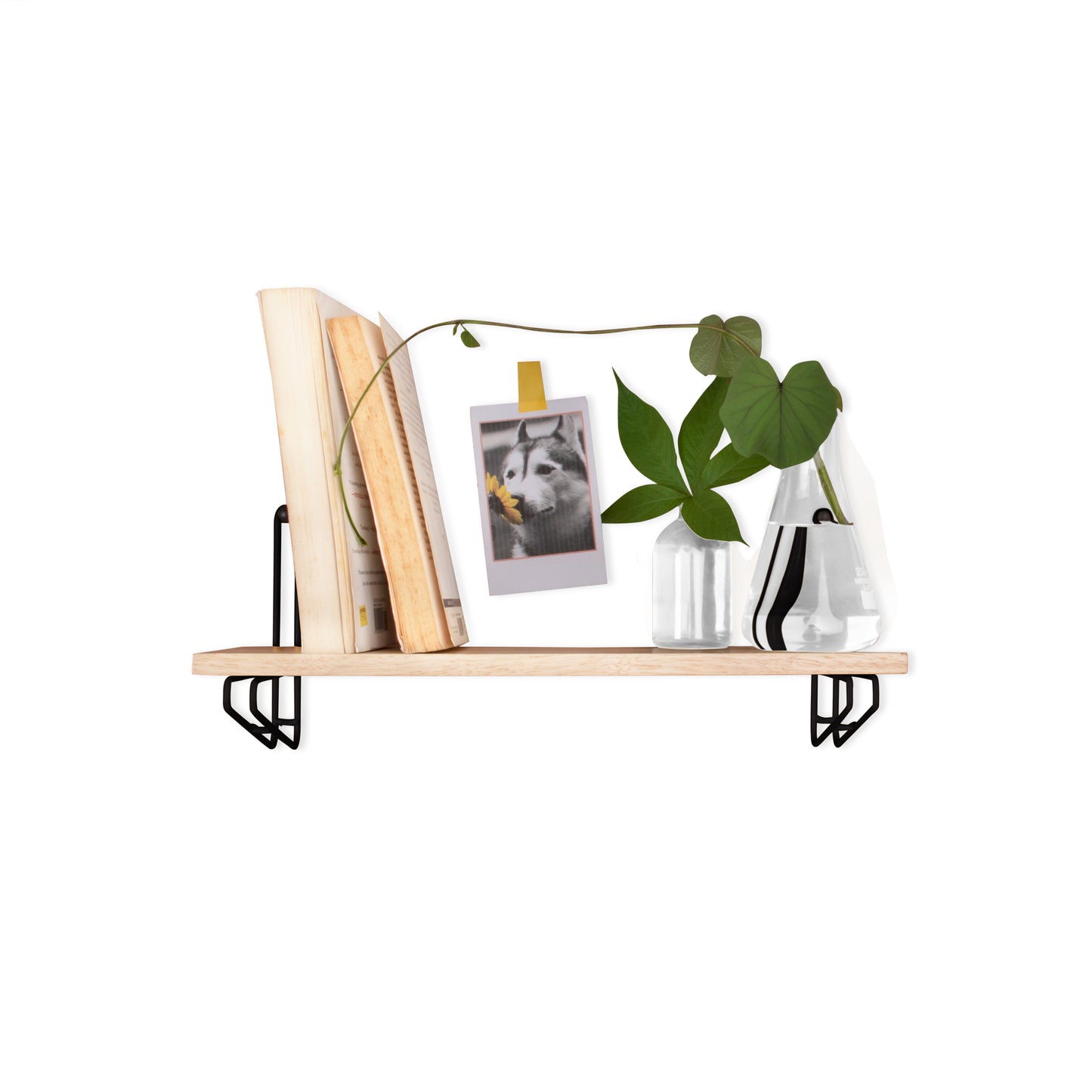 Rectangular Shelf [ Glossy Black]